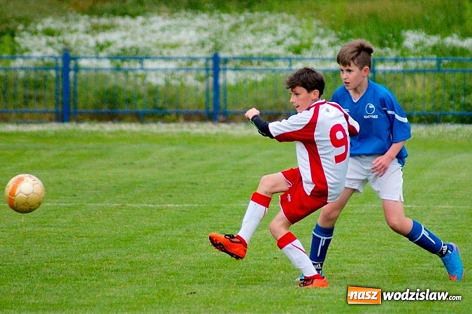 Zdjęcie w galerii na portalu naszwodzislaw.com: Młodziki Naprzodu straciły punkt w końcówce wiadomości z regionu