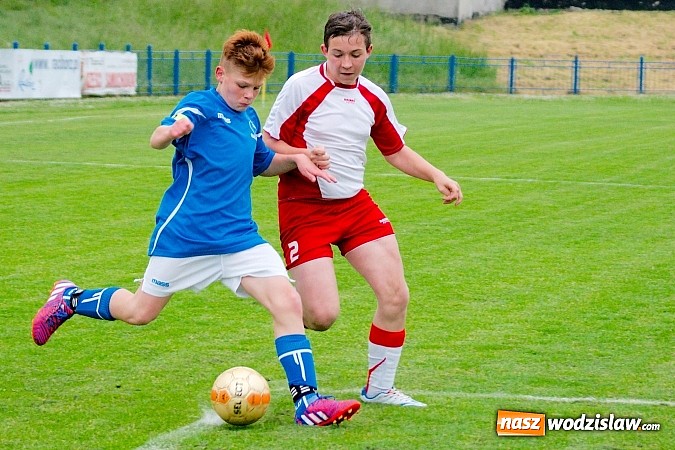 Zdjęcie w galerii na portalu naszwodzislaw.com: Młodziki Naprzodu straciły punkt w końcówce wiadomości z regionu