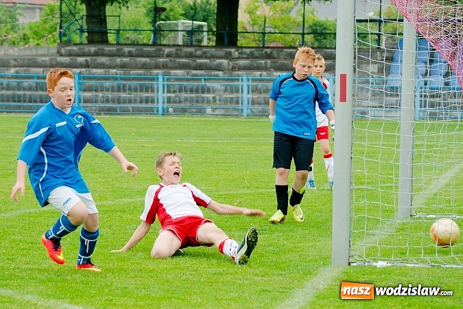 Zdjęcie w galerii na portalu naszwodzislaw.com: Młodziki Naprzodu straciły punkt w końcówce wiadomości z regionu