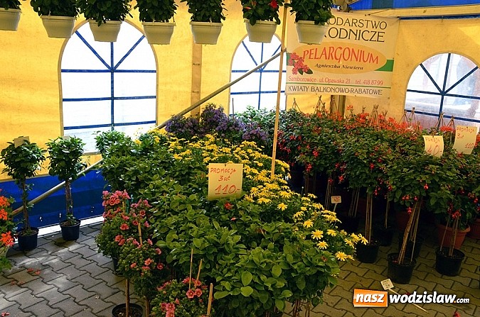 Zdjęcie w galerii na portalu naszwodzislaw.com: Jubileuszowa XV Eko-Wystawa w Pietrowicach Wielkich wiadomości z regionu