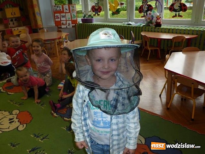 Zdjęcie w galerii na portalu naszwodzislaw.com: Dlaczego trzeba chronić pszczoły?  wiadomości z regionu