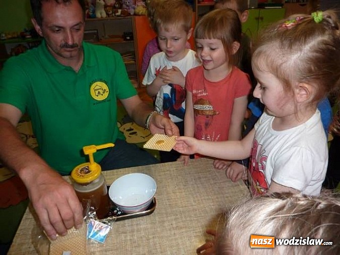 Zdjęcie w galerii na portalu naszwodzislaw.com: Dlaczego trzeba chronić pszczoły?  wiadomości z regionu