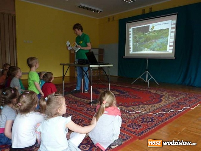 Zdjęcie w galerii na portalu naszwodzislaw.com: Dlaczego trzeba chronić pszczoły?  wiadomości z regionu