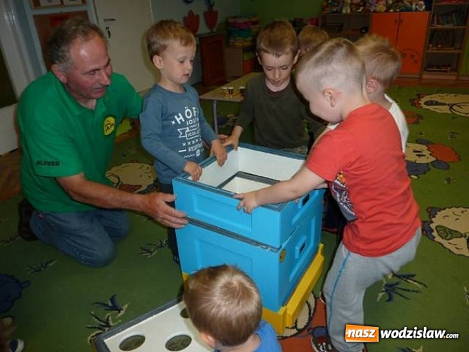 Zdjęcie w galerii na portalu naszwodzislaw.com: Dlaczego trzeba chronić pszczoły?  wiadomości z regionu