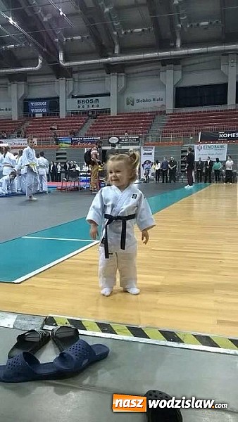 Zdjęcie w galerii na portalu naszwodzislaw.com: Judo Kids Wodzisław z międzynarodowymi medalami wiadomości z regionu