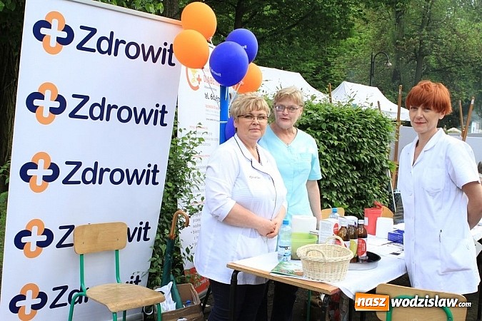 Zdjęcie w galerii na portalu naszwodzislaw.com: Śląskie organizacje na Majowym Graniu w Zabrzu  wiadomości z regionu