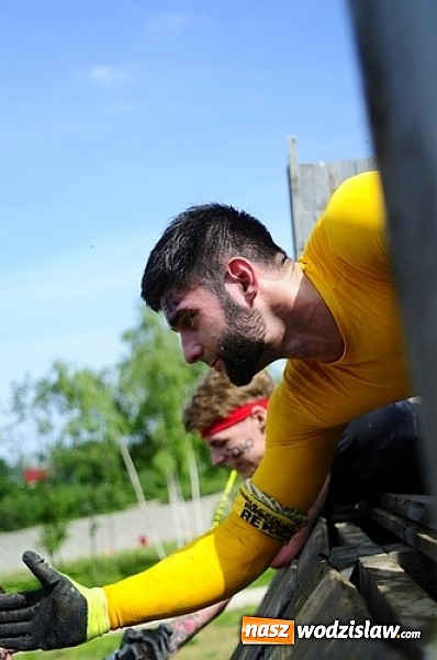 Zdjęcie w galerii na portalu naszwodzislaw.com: Efekt Runmageddonu, czyli współpraca w ogniu, lodzie i błocie  wiadomości z regionu