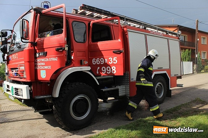 Zdjęcie w galerii na portalu naszwodzislaw.com: Festyn Parafialny na Kalwarii Pszowskiej wiadomości z regionu