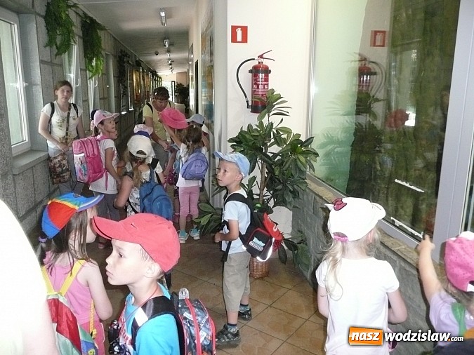 Zdjęcie w galerii na portalu naszwodzislaw.com: Przedszkolaki z PP nr 16 zawitały do ZOO w Chorzowie  wiadomości z regionu