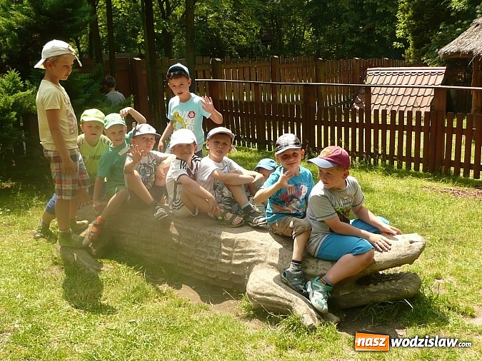 Zdjęcie w galerii na portalu naszwodzislaw.com: Przedszkolaki z PP nr 16 zawitały do ZOO w Chorzowie  wiadomości z regionu