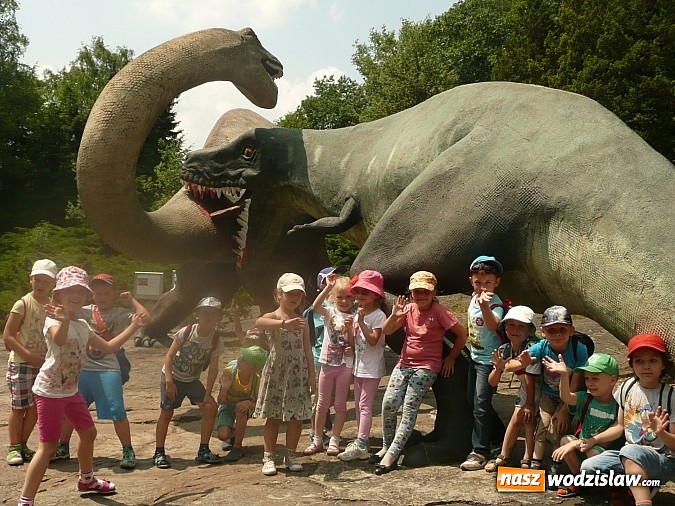 Zdjęcie w galerii na portalu naszwodzislaw.com: Przedszkolaki z PP nr 16 zawitały do ZOO w Chorzowie  wiadomości z regionu