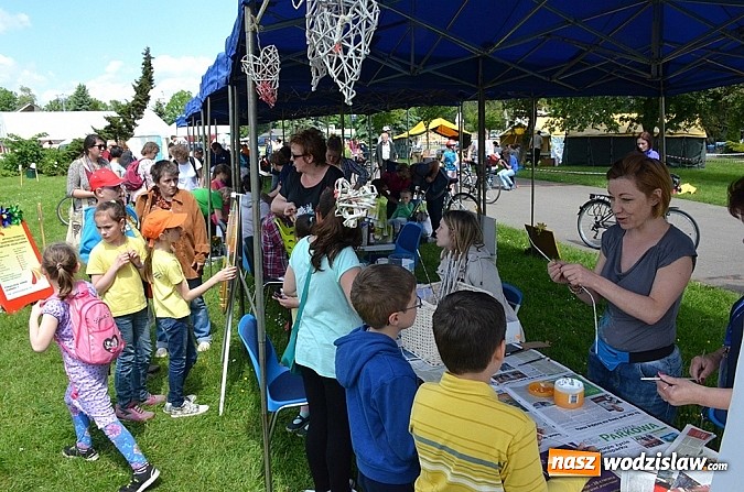 Zdjęcie w galerii na portalu naszwodzislaw.com: Finał konkursu EkoAktywni 2015 wiadomości z regionu