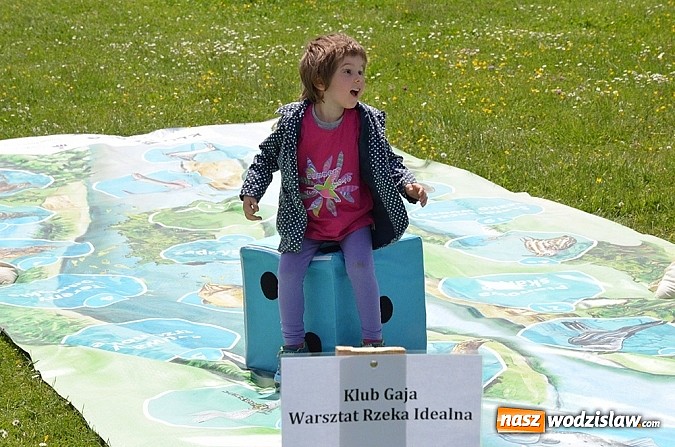 Zdjęcie w galerii na portalu naszwodzislaw.com: Finał konkursu EkoAktywni 2015 wiadomości z regionu