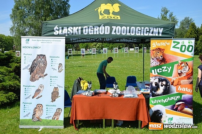 Zdjęcie w galerii na portalu naszwodzislaw.com: Finał konkursu EkoAktywni 2015 wiadomości z regionu