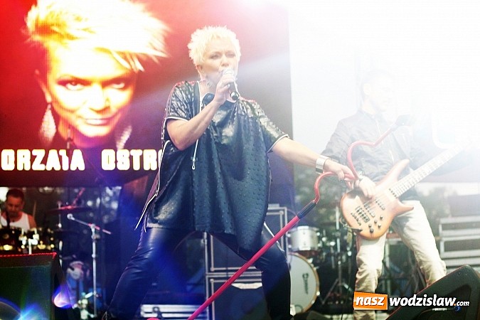 Zdjęcie w galerii na portalu naszwodzislaw.com: Dni Wodzisławia Śląskiego - dzień drugi wiadomości z regionu