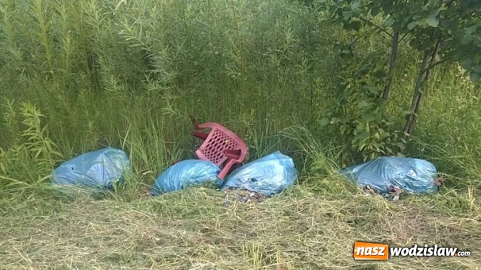 Zdjęcie w galerii na portalu naszwodzislaw.com: Dzikie wysypiska zmorą Wodzisławia wiadomości z regionu