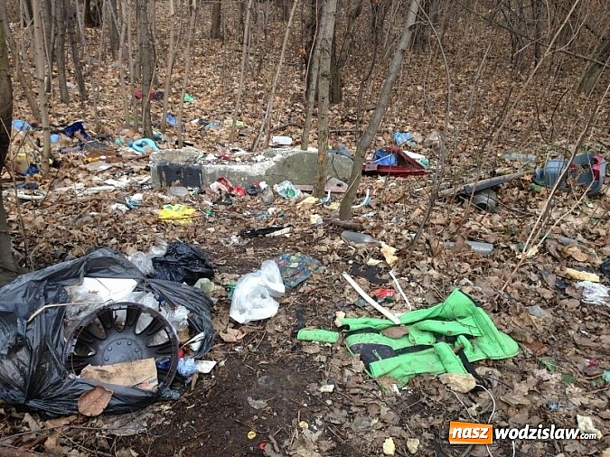 Zdjęcie w galerii na portalu naszwodzislaw.com: Dzikie wysypiska zmorą Wodzisławia wiadomości z regionu