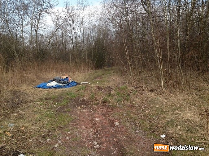 Zdjęcie w galerii na portalu naszwodzislaw.com: Dzikie wysypiska zmorą Wodzisławia wiadomości z regionu