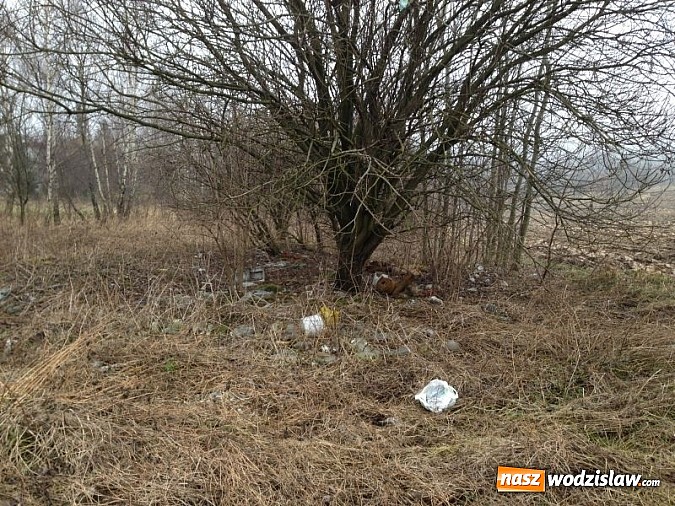 Zdjęcie w galerii na portalu naszwodzislaw.com: Dzikie wysypiska zmorą Wodzisławia wiadomości z regionu