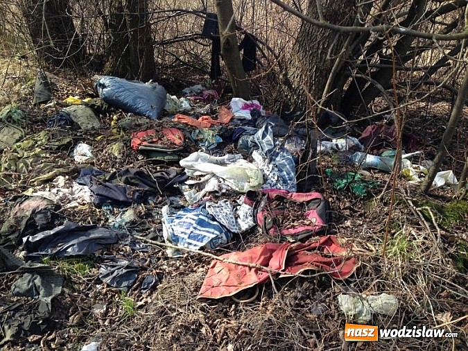 Zdjęcie w galerii na portalu naszwodzislaw.com: Dzikie wysypiska zmorą Wodzisławia wiadomości z regionu