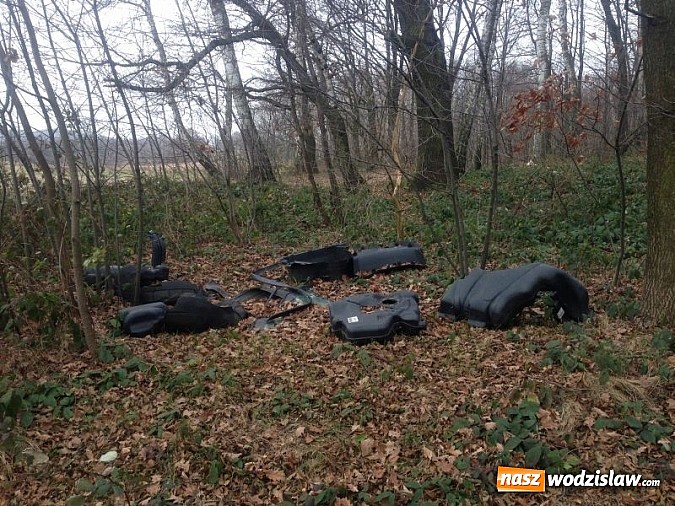 Zdjęcie w galerii na portalu naszwodzislaw.com: Dzikie wysypiska zmorą Wodzisławia wiadomości z regionu