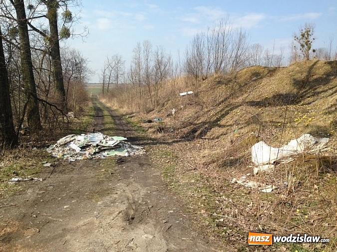 Zdjęcie w galerii na portalu naszwodzislaw.com: Dzikie wysypiska zmorą Wodzisławia wiadomości z regionu