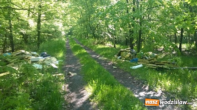 Zdjęcie w galerii na portalu naszwodzislaw.com: Dzikie wysypiska zmorą Wodzisławia wiadomości z regionu