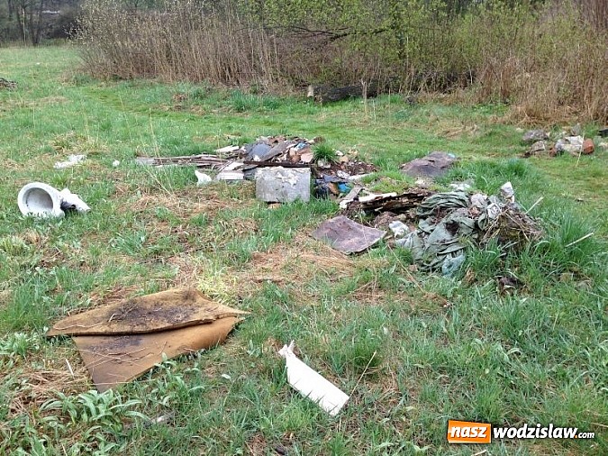 Zdjęcie w galerii na portalu naszwodzislaw.com: Dzikie wysypiska zmorą Wodzisławia wiadomości z regionu