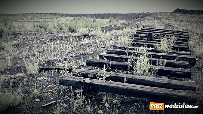 Zdjęcie w galerii na portalu naszwodzislaw.com: Po raz pierwszy na Śląsku! Nadciąga Runmageddon! wiadomości z regionu