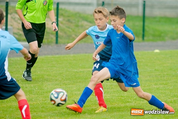 Zdjęcie w galerii na portalu naszwodzislaw.com: Twork&oacute;w Cup 2015: Emocjonujące potyczki w Tworkowie. Piłkarze MKP Odra Wodzisław na podium wiadomości z regionu