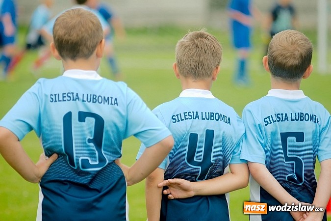 Zdjęcie w galerii na portalu naszwodzislaw.com: Twork&oacute;w Cup 2015: Emocjonujące potyczki w Tworkowie. Piłkarze MKP Odra Wodzisław na podium wiadomości z regionu