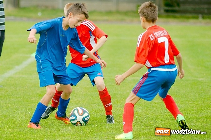 Zdjęcie w galerii na portalu naszwodzislaw.com: Twork&oacute;w Cup 2015: Emocjonujące potyczki w Tworkowie. Piłkarze MKP Odra Wodzisław na podium wiadomości z regionu