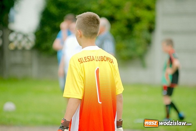 Zdjęcie w galerii na portalu naszwodzislaw.com: Twork&oacute;w Cup 2015: Emocjonujące potyczki w Tworkowie. Piłkarze MKP Odra Wodzisław na podium wiadomości z regionu