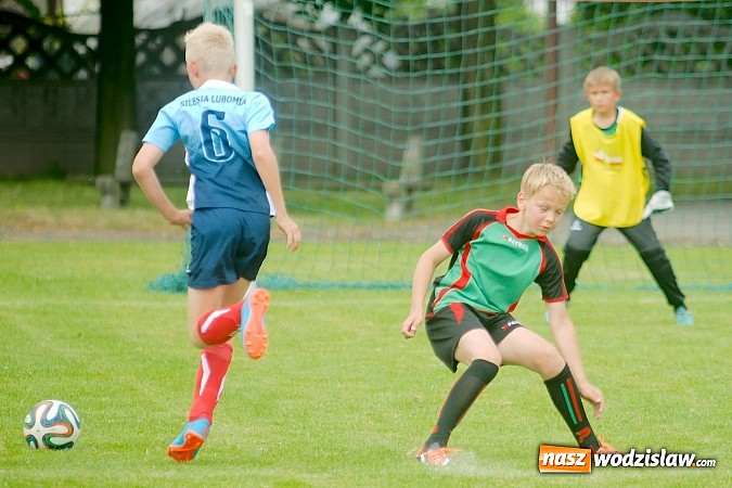 Zdjęcie w galerii na portalu naszwodzislaw.com: Twork&oacute;w Cup 2015: Emocjonujące potyczki w Tworkowie. Piłkarze MKP Odra Wodzisław na podium wiadomości z regionu