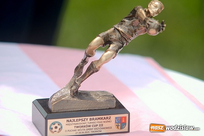 Zdjęcie w galerii na portalu naszwodzislaw.com: Twork&oacute;w Cup 2015: Emocjonujące potyczki w Tworkowie. Piłkarze MKP Odra Wodzisław na podium wiadomości z regionu