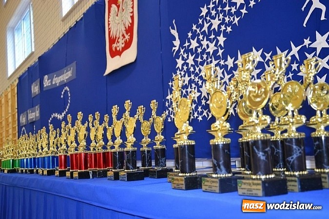 Zdjęcie w galerii na portalu naszwodzislaw.com: Edukacyjne 