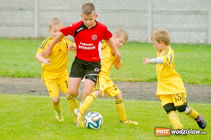 Zdjęcie w galerii na portalu naszwodzislaw.com: Tworków Cup 2015: Deszczowy drugi dzień piłkarskich zmagań. Naprzód lepszy od Startu. Puchar pojechał do Rydułtów wiadomości z regionu