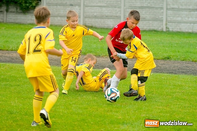 Zdjęcie w galerii na portalu naszwodzislaw.com: Tworków Cup 2015: Deszczowy drugi dzień piłkarskich zmagań. Naprzód lepszy od Startu. Puchar pojechał do Rydułtów wiadomości z regionu