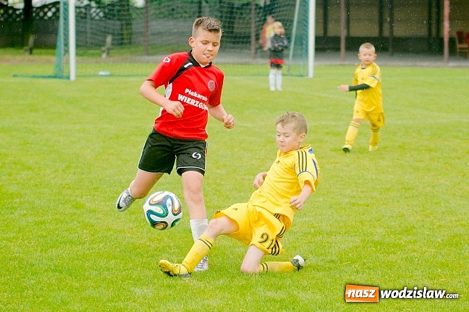 Zdjęcie w galerii na portalu naszwodzislaw.com: Tworków Cup 2015: Deszczowy drugi dzień piłkarskich zmagań. Naprzód lepszy od Startu. Puchar pojechał do Rydułtów wiadomości z regionu
