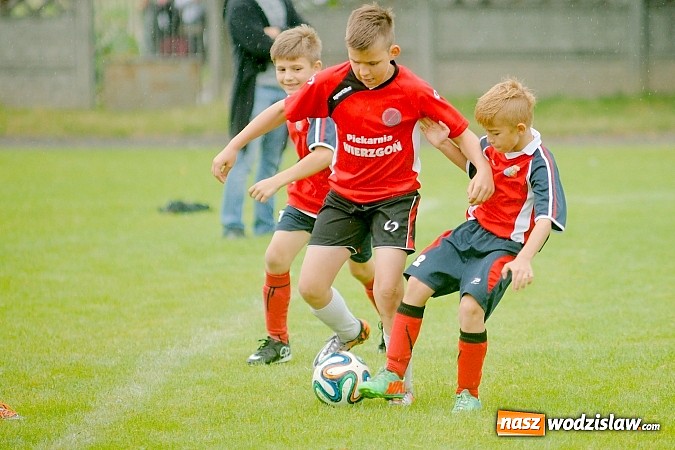 Zdjęcie w galerii na portalu naszwodzislaw.com: Tworków Cup 2015: Deszczowy drugi dzień piłkarskich zmagań. Naprzód lepszy od Startu. Puchar pojechał do Rydułtów wiadomości z regionu