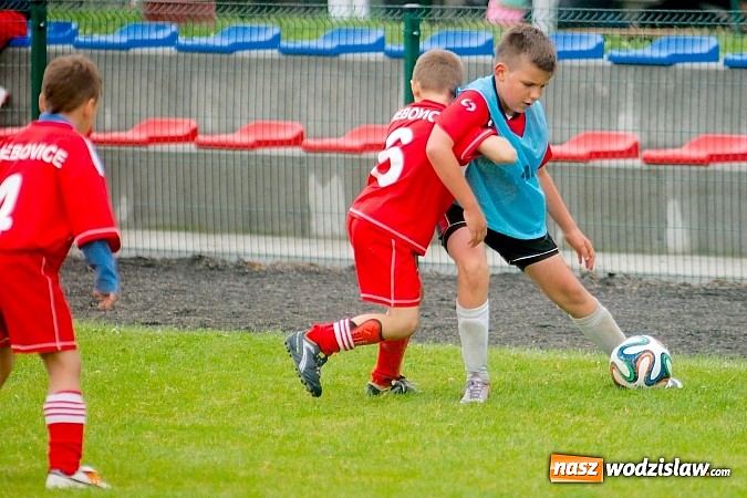 Zdjęcie w galerii na portalu naszwodzislaw.com: Tworków Cup 2015: Deszczowy drugi dzień piłkarskich zmagań. Naprzód lepszy od Startu. Puchar pojechał do Rydułtów wiadomości z regionu