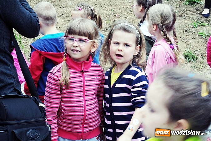 Zdjęcie w galerii na portalu naszwodzislaw.com: W Wodzisławiu powstała aleja klonów. Sadzeniem zajęły się przedszkolaki wiadomości z regionu