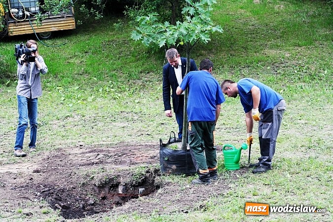 Zdjęcie w galerii na portalu naszwodzislaw.com: W Wodzisławiu powstała aleja klonów. Sadzeniem zajęły się przedszkolaki wiadomości z regionu