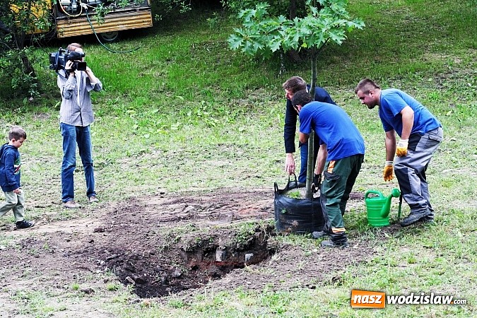 Zdjęcie w galerii na portalu naszwodzislaw.com: W Wodzisławiu powstała aleja klonów. Sadzeniem zajęły się przedszkolaki wiadomości z regionu