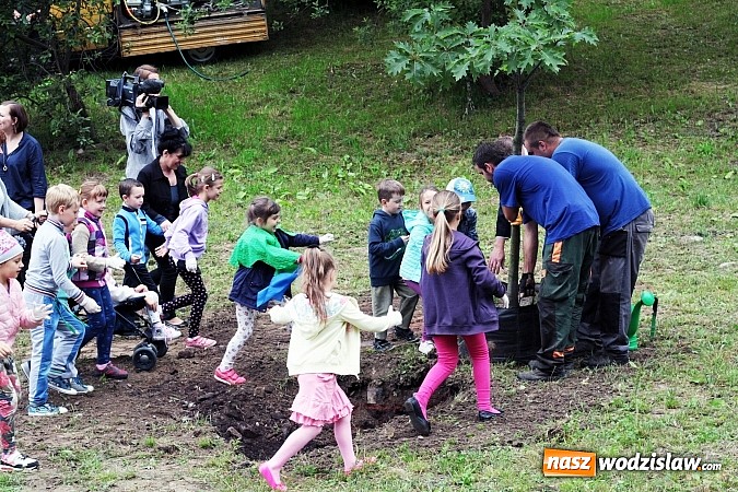 Zdjęcie w galerii na portalu naszwodzislaw.com: W Wodzisławiu powstała aleja klonów. Sadzeniem zajęły się przedszkolaki wiadomości z regionu