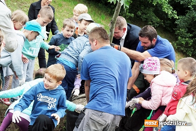 Zdjęcie w galerii na portalu naszwodzislaw.com: W Wodzisławiu powstała aleja klonów. Sadzeniem zajęły się przedszkolaki wiadomości z regionu