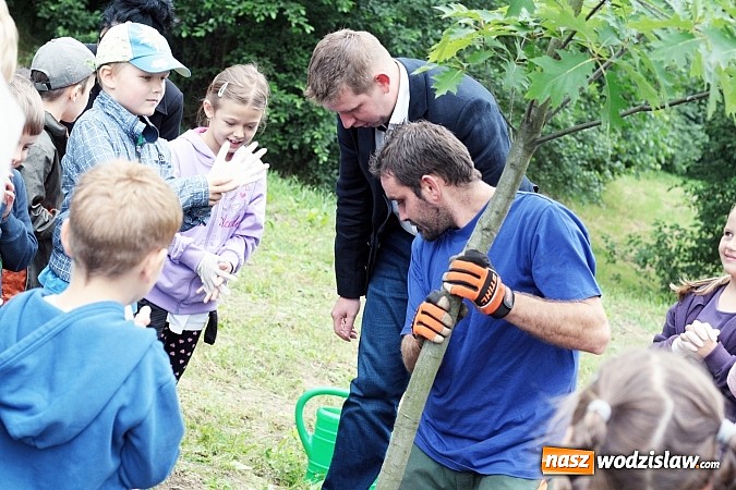 Zdjęcie w galerii na portalu naszwodzislaw.com: W Wodzisławiu powstała aleja klonów. Sadzeniem zajęły się przedszkolaki wiadomości z regionu