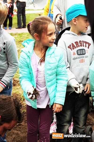 Zdjęcie w galerii na portalu naszwodzislaw.com: W Wodzisławiu powstała aleja klonów. Sadzeniem zajęły się przedszkolaki wiadomości z regionu