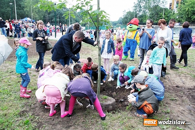 Zdjęcie w galerii na portalu naszwodzislaw.com: W Wodzisławiu powstała aleja klonów. Sadzeniem zajęły się przedszkolaki wiadomości z regionu