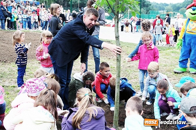Zdjęcie w galerii na portalu naszwodzislaw.com: W Wodzisławiu powstała aleja klonów. Sadzeniem zajęły się przedszkolaki wiadomości z regionu